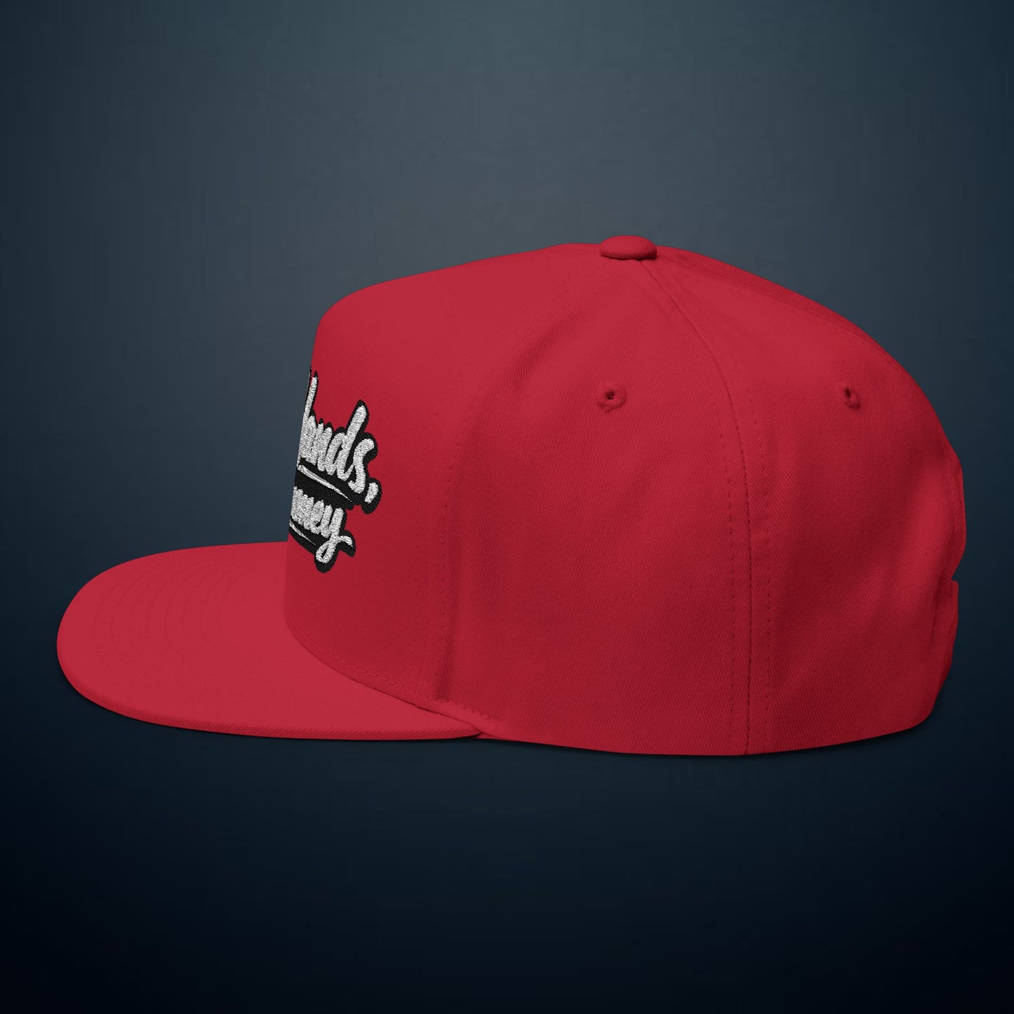Flat Bill Cap — "Dirty Hands, Clean Money" Embroidered Snapback